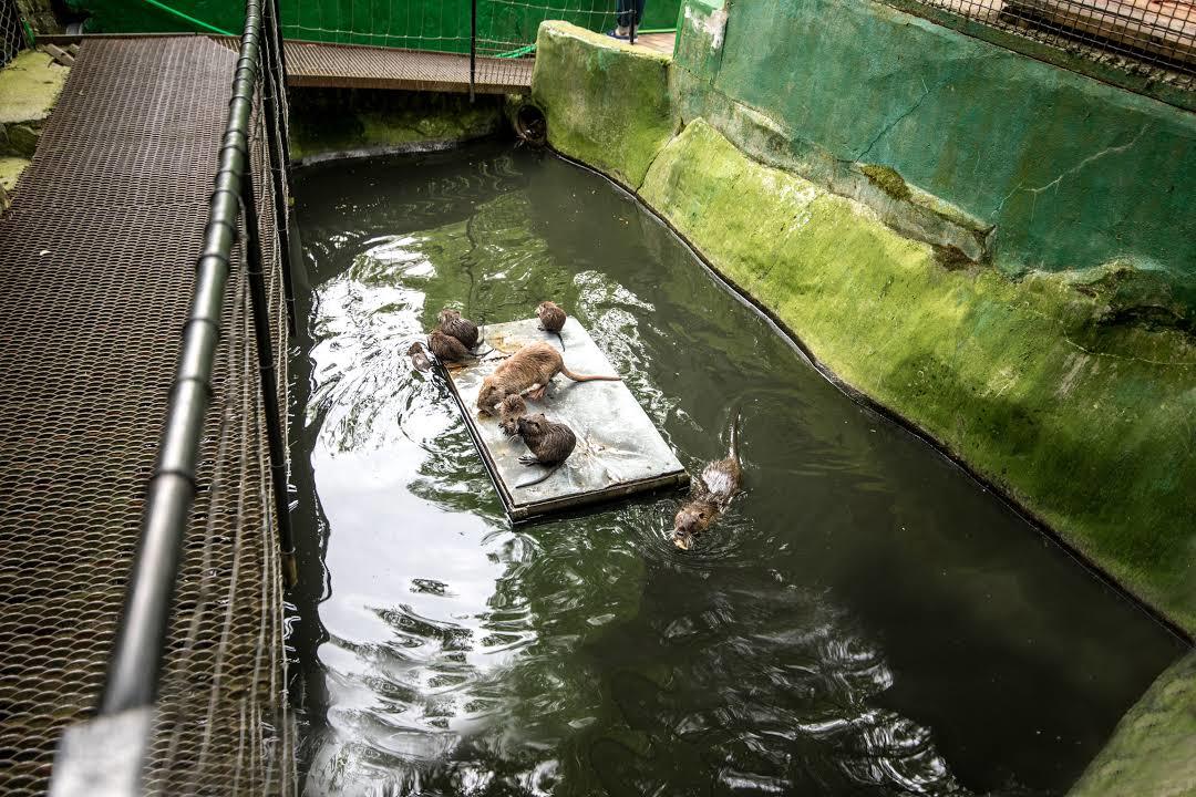 Jardín zoológico de Zagreb